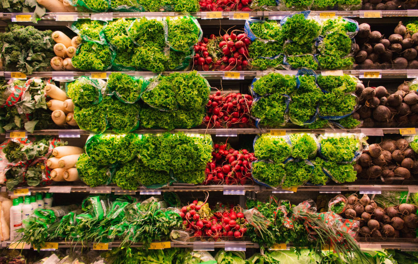 SNAP Benefits See Significant Changes in 2025: What Families Need to Know